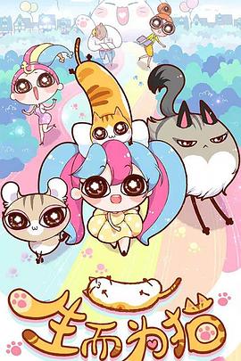 网站优化方式对比分析