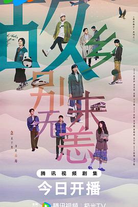 选择seo网站排名优化软件